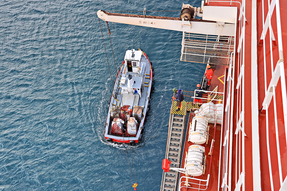Global Supply Chain, Local Delivery